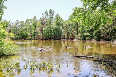 Tucked away in desirable Quail Creek Estates, this spacious - photo 4