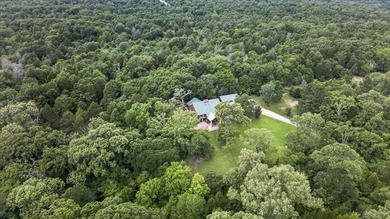Tucked beneath a canopy of mature hardwoods on 10.08 secluded - photo 38