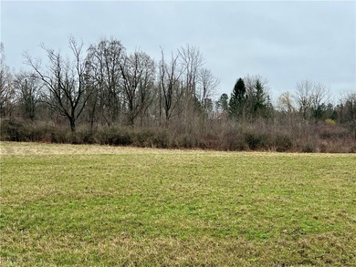 Become part of a thriving new neighborhood in the Village of - photo 5