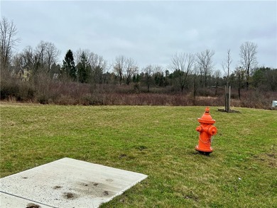 Become part of a thriving new neighborhood in the Village of - photo 7