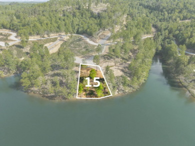 Sleepy Hollow Phase II is nestled on the banks of beautiful Wood - photo 1