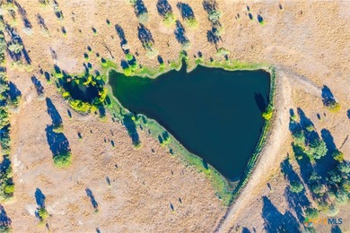 Eastgate Ranch is a premium, turnkey cattle and recreational - photo 21