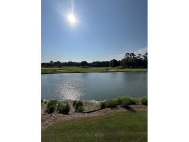 Welcome home to the desirable Arbor Trace section in the - photo 24