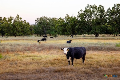 Eastgate Ranch is a premium, turnkey cattle and recreational - photo 42