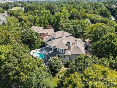 Simonini-built show home in Ballantyne Country Club inspired by - photo 48