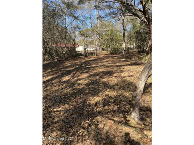 So much to offer in this Southern Coastal home. This ranch style - photo 32