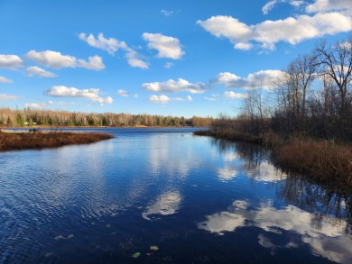 Lake LeClaire Acreage For Sale in Park Falls Wisconsin