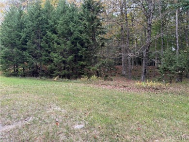 First Lake Lot For Sale in Old Forge New York