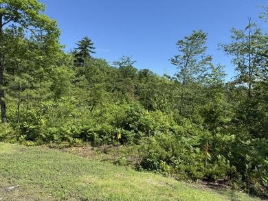 This beautiful, flat wooded lot offers privacy galore, tucked - photo 3