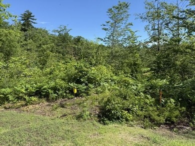 This beautiful, flat wooded lot offers privacy galore, tucked - photo 4