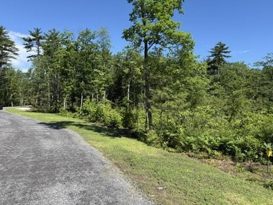 This beautiful, flat wooded lot offers privacy galore, tucked - photo 8
