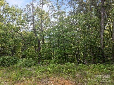Jordan Lake Lot For Sale in Mars Hill North Carolina