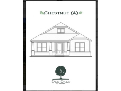 Popular Chestnut A plan with THREE main level beds & a separate - photo 2