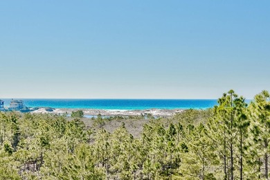 The best priced property on 30A offering these unique and truly - photo 2