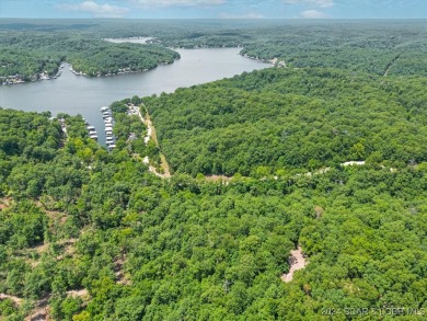 Lake Acreage For Sale in Barnett, Missouri