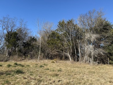Peaceful 1+ Acre Lot in Gated Lake Subdivision - photo 21