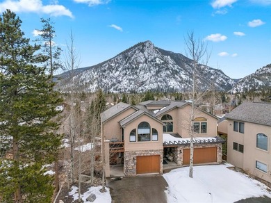 Dillon Reservoir Townhome/Townhouse For Sale in Frisco Colorado