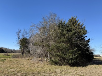 Peaceful 1+ Acre Lot in Gated Lake Subdivision - photo 24