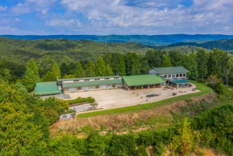 Watts Bar Lake Home For Sale in Harriman Tennessee