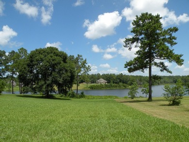 Great new home site on the lake - photo 14