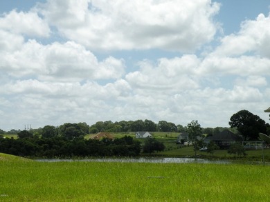 Great new home site on the lake - photo 20