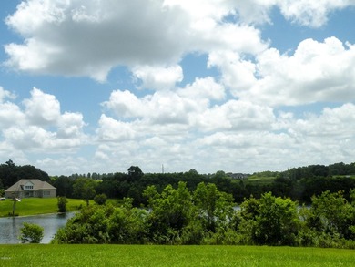 Great new home site on the lake - photo 23