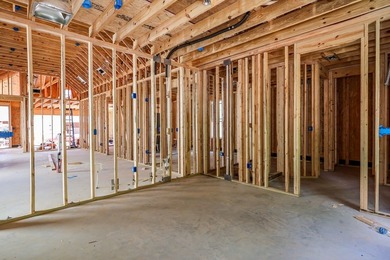 One level Birch Plan! OXFORD school district for an affordable - photo 5