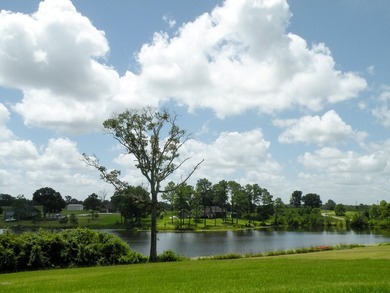 Great new home site on the lake - photo 26
