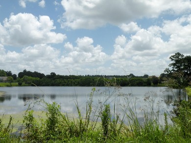 Great new home site on the lake - photo 31