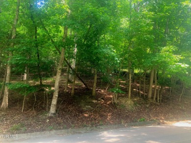 Lake Lot For Sale in Bluff City, Tennessee