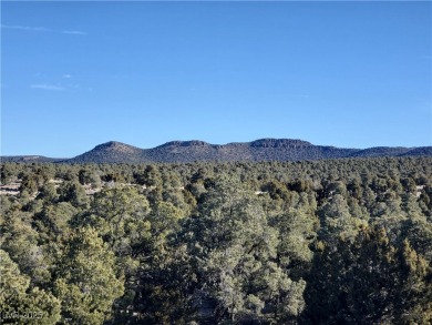 Mt. Wilson cabin on 5.11 acres with incredible views!! There are