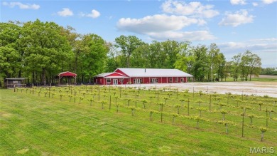Lake Commercial For Sale in Chesterfield, Illinois