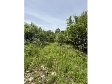 This woodland of property on top of Kings Mountain offers - photo 2