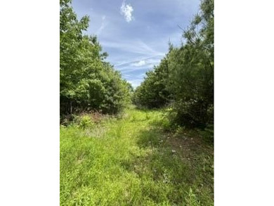 This woodland of property on top of Kings Mountain offers - photo 3