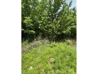 This woodland of property on top of Kings Mountain offers - photo 4