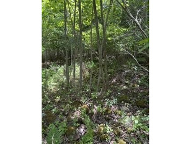 This woodland of property on top of Kings Mountain offers - photo 5