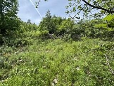 This woodland of property on top of Kings Mountain offers - photo 6