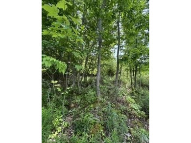 This woodland of property on top of Kings Mountain offers - photo 7