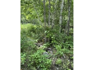 This woodland of property on top of Kings Mountain offers - photo 8