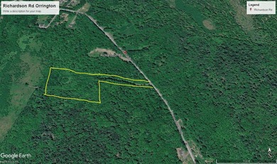 This woodland of property on top of Kings Mountain offers - photo 10