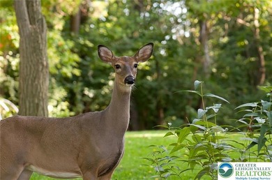 (private lake, pond, coastal) Lot For Sale in Penn Forest Twp Pennsylvania