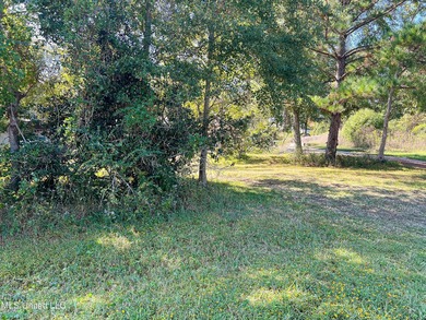 Desirable Lot Near the Beautiful Beaches of Waveland! Oversized - photo 2