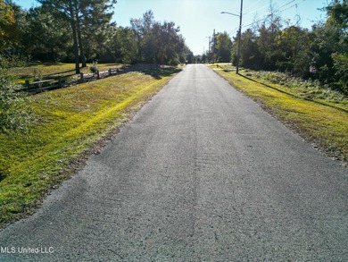 Desirable Lot Near the Beautiful Beaches of Waveland! Oversized - photo 10