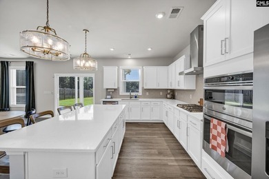 Welcome to 209 Chapin Place Way, a beautifully appointed - photo 11