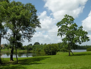 Great new home site on the lake - photo 12