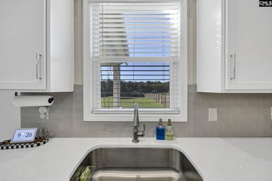 Welcome to 209 Chapin Place Way, a beautifully appointed - photo 13