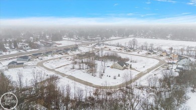 Fully developed site condominium in a great area with the - photo 13