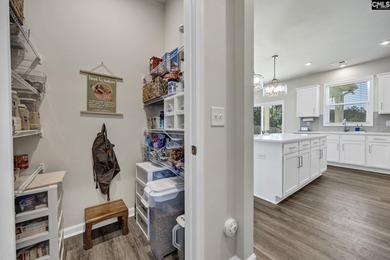 Welcome to 209 Chapin Place Way, a beautifully appointed - photo 14