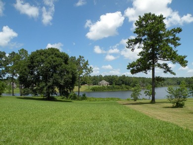 Great new home site on the lake - photo 14