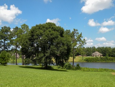 Great new home site on the lake - photo 16